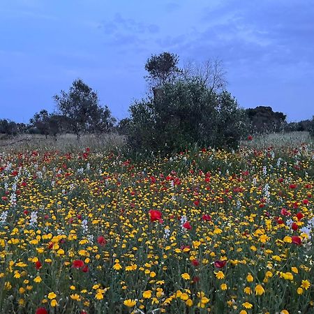 Agriturismo Villa Coluccia Martano Exteriér fotografie