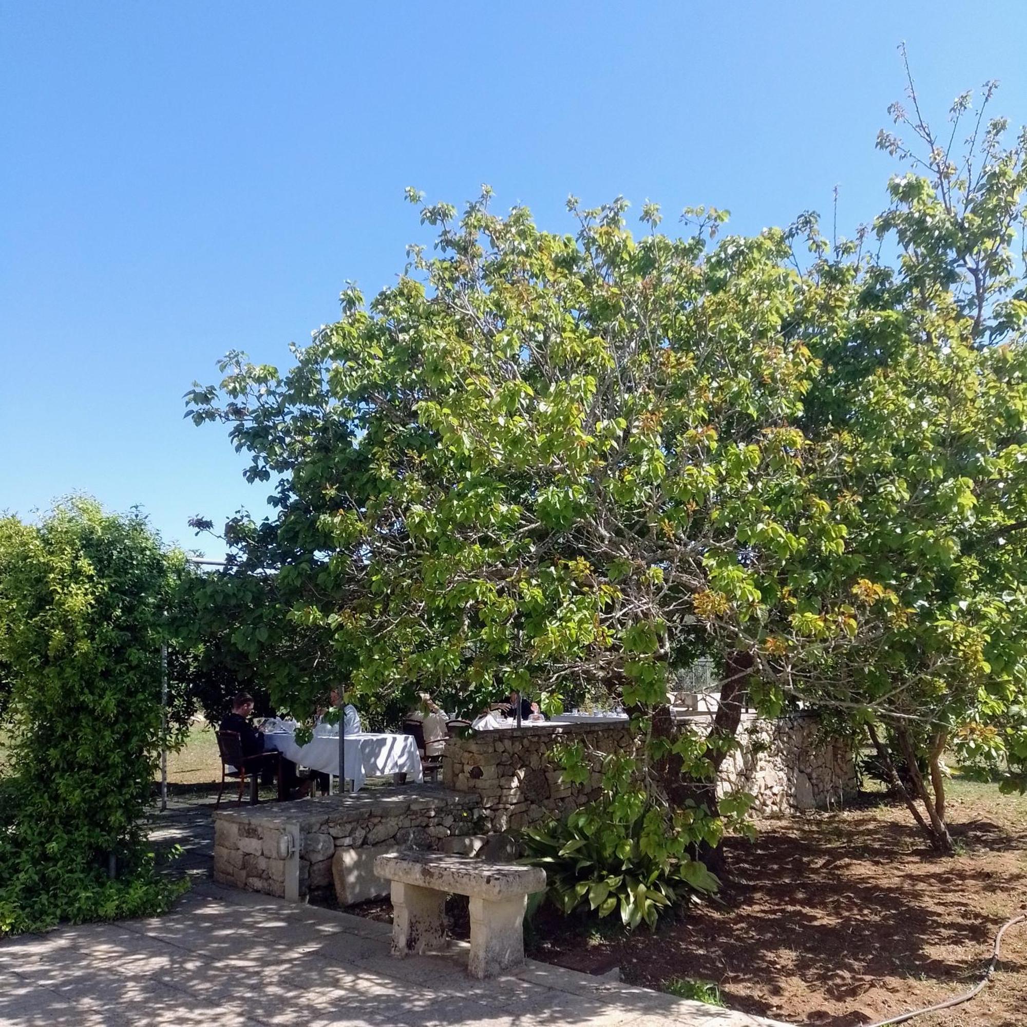 Agriturismo Villa Coluccia Martano Exteriér fotografie