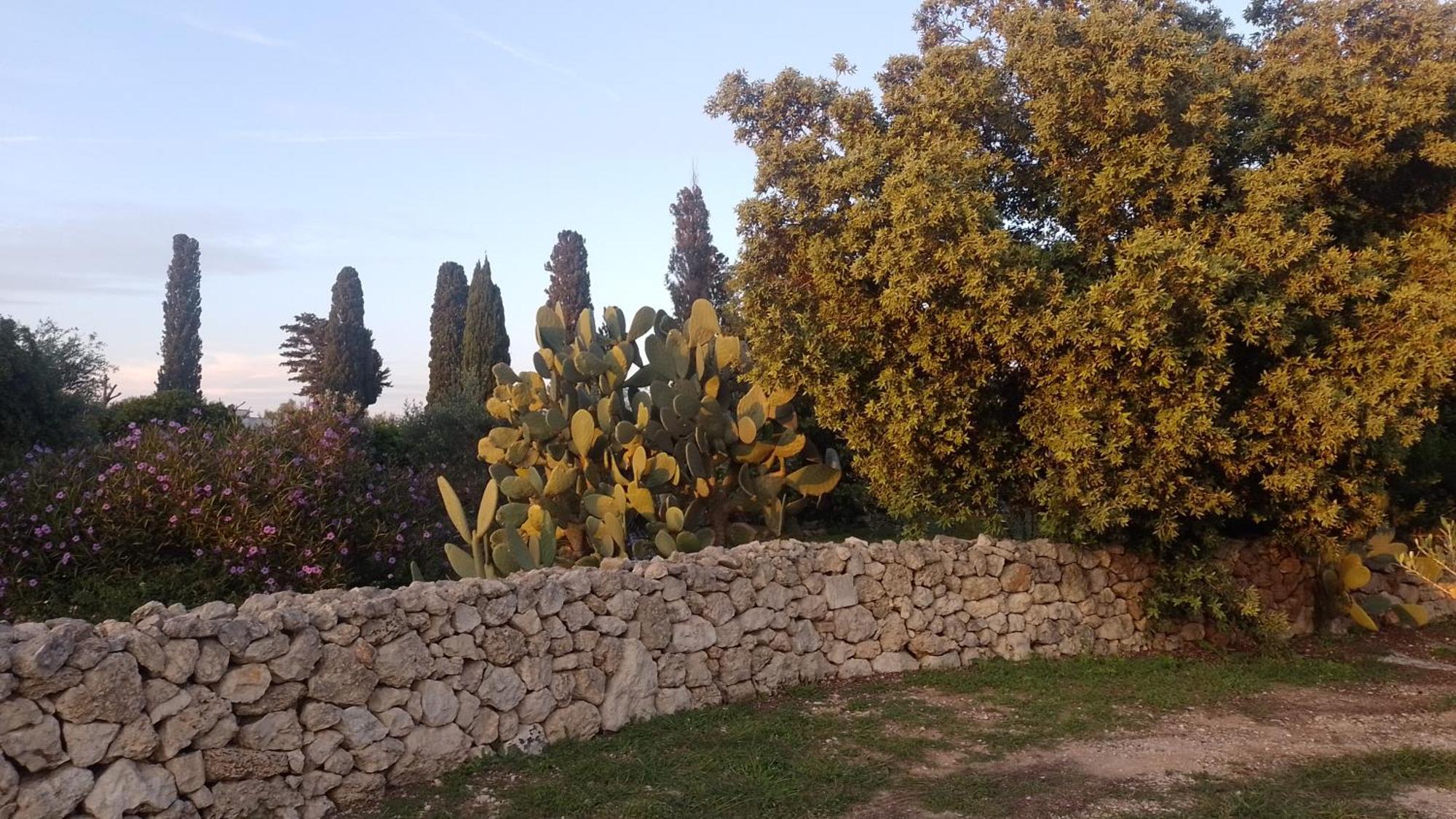 Agriturismo Villa Coluccia Martano Exteriér fotografie